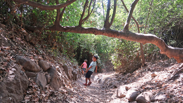 Trekking Aguas de Ramón con niños – Parque Cordillera.