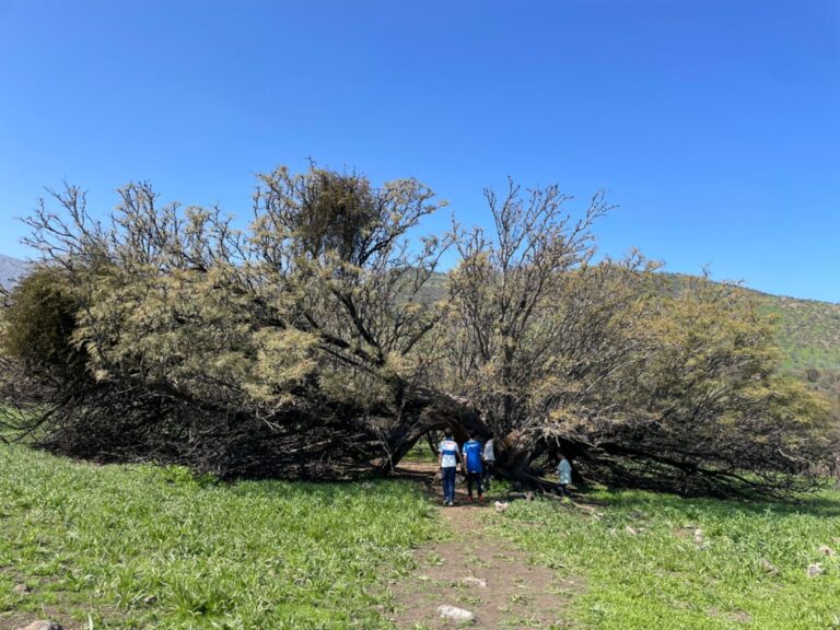 Quebrada el Manzano – Chicureo